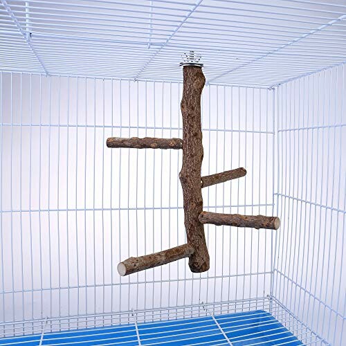 Natural wood perch in a bird cage with multiple branches.