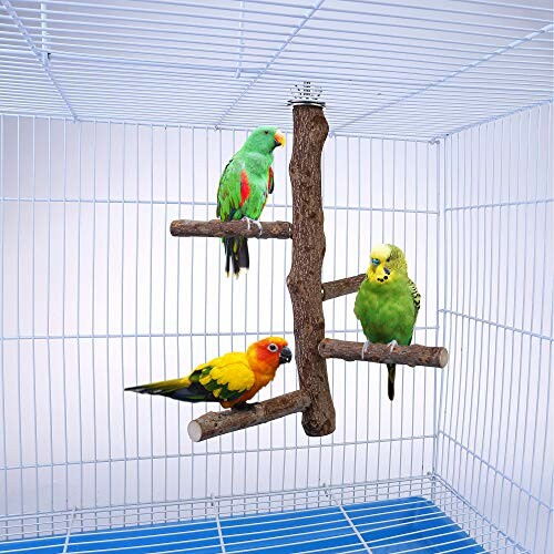 Three colorful parrots on a wooden perch inside a bird cage.