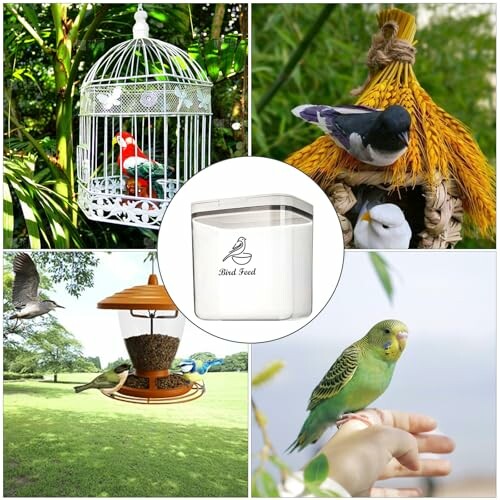 Collage of bird feeders and a parakeet on a hand.