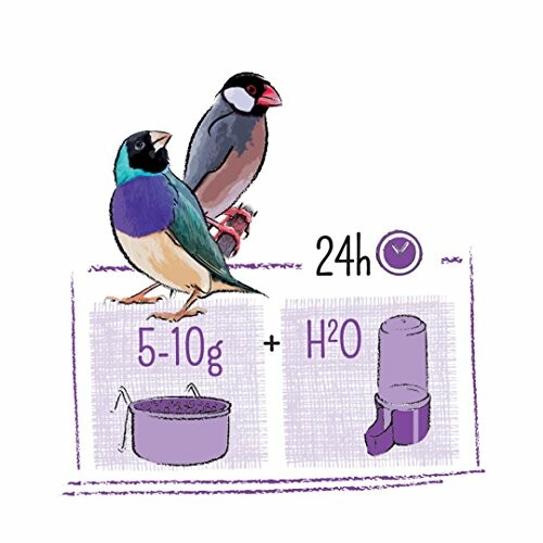 Illustration showing feeding instructions for Parrot Essentials PUUR Tropical Bird Seed Mix.