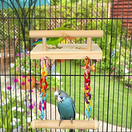 Parrots on a wooden perch with colorful chains in a garden