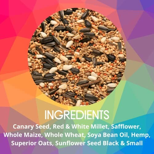 Variety of bird seeds including canary seed, millet, safflower, maize, wheat, and sunflower seeds.