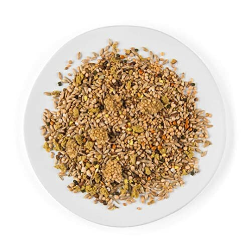 A plate with an assorted bird seed mix from Parrot Essentials.