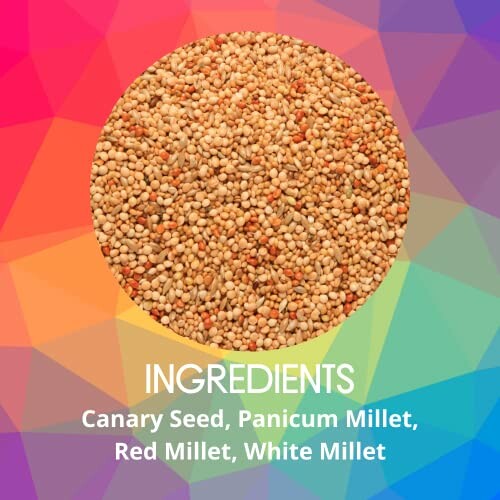 Mix of various bird seeds including canary seed and millet.