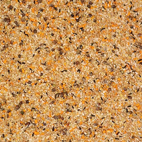 Close-up of a bird seed mixture with grains and seeds.
