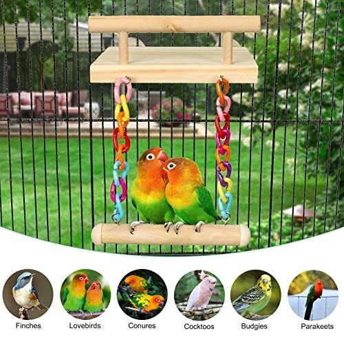 Colorful birds on a swing toy with chains in a cage.