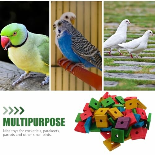 Didiseaon 100 Pcs DIY Wood Chips Bird Toys