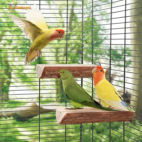 Niteangel 2 Parrot Cage Perch