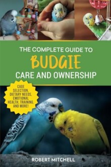 The Complete Guide to Budgie Care and Ownership