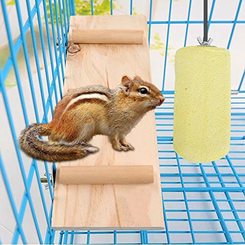 Chipmunk in a cage with a wooden platform and a hanging chew toy, showcasing the versatility of the product.