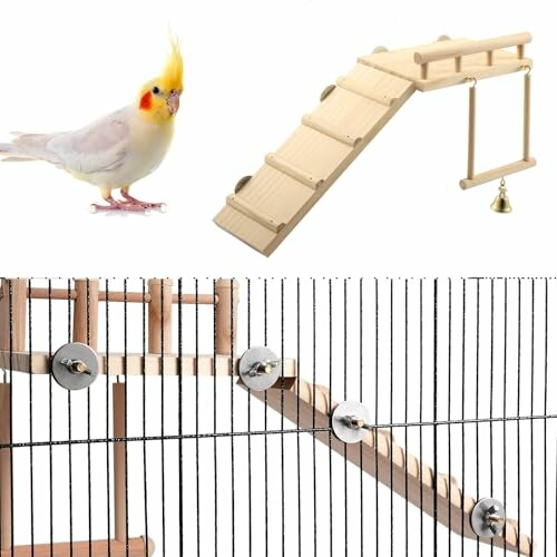 Cockatiel and bird perch ladder for cage.