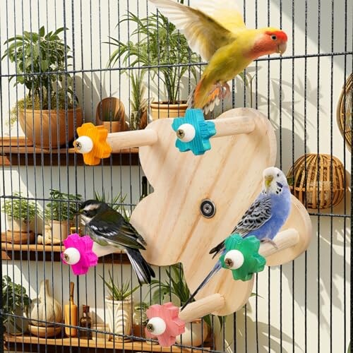 Birds playing on a colorful wooden perch in a cage.