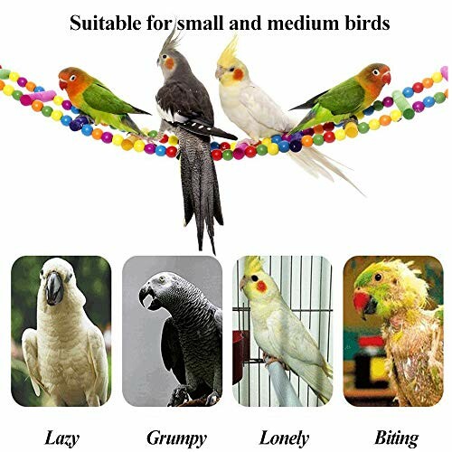 Birds on a colorful bead perch, suitable for small and medium birds.