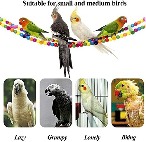 Birds on a colorful bead perch with different bird personalities labeled.