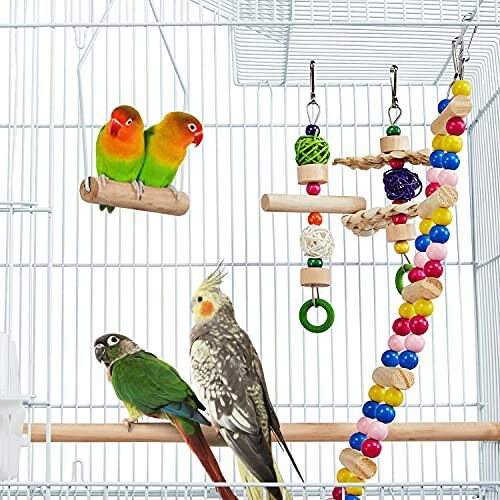 Colorful birds in a cage with toys.