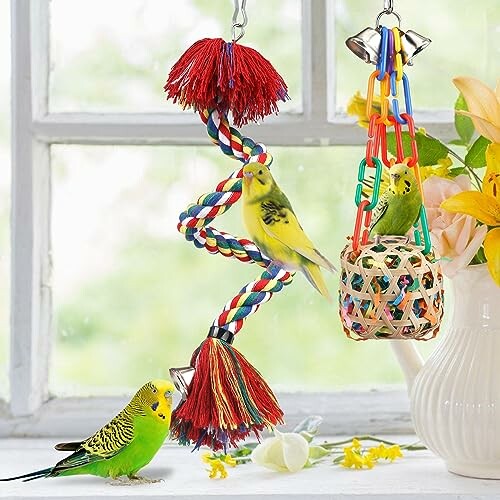 Two budgies playing with colorful hanging toys by a window.