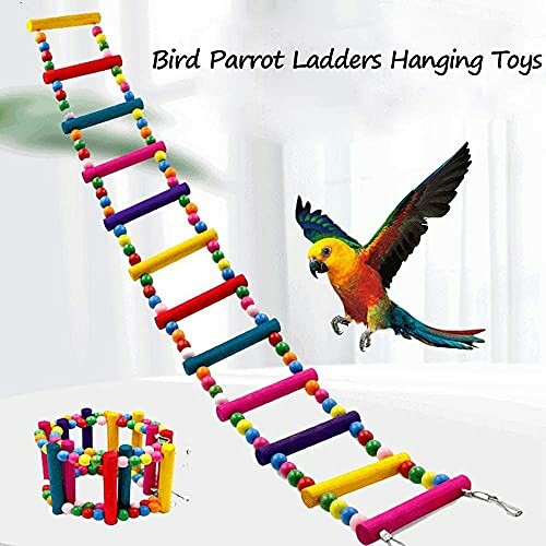 Colorful parrot toy ladders with a parrot flying nearby.