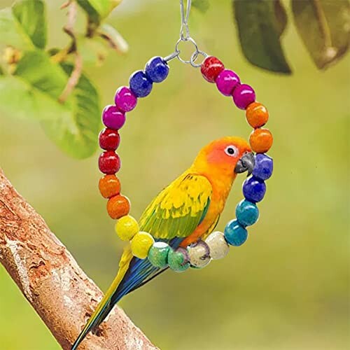 A colorful parrot perched on a vibrant beaded ring.