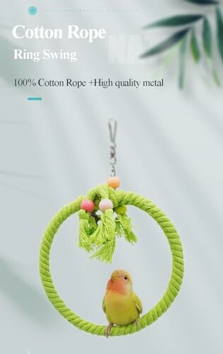 Bird on a cotton rope ring swing with colorful beads.