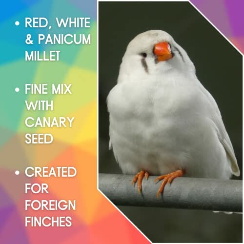 White finch on a perch with text about seed mix ingredients.