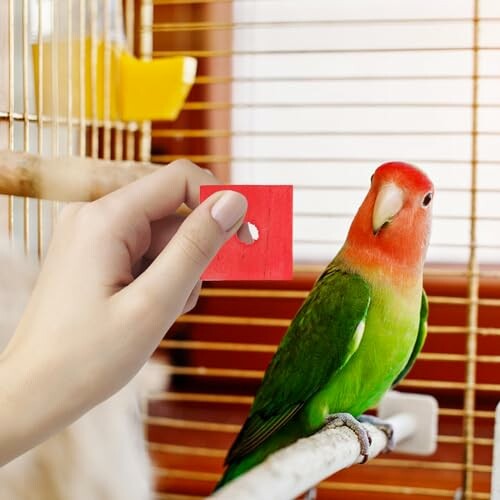 A green parrot with a red head perched in a cage next to a hand holding a red shape.