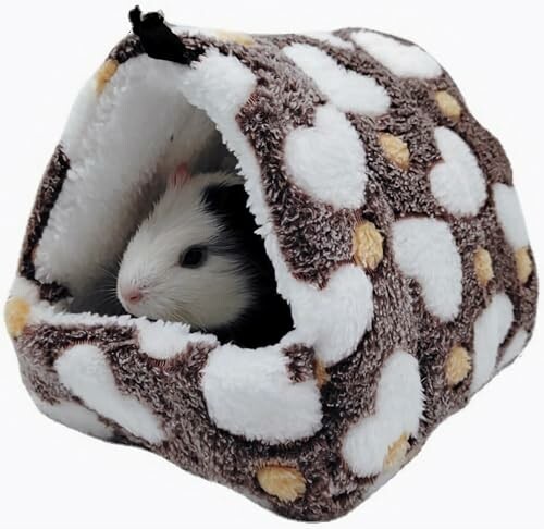 Guinea pig in a cozy, patterned bed.