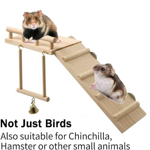 Hamsters on a wooden playground with ladder and swing.