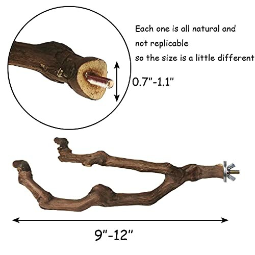 Natural wood bird perch with metal screw attachment, measurements labeled.