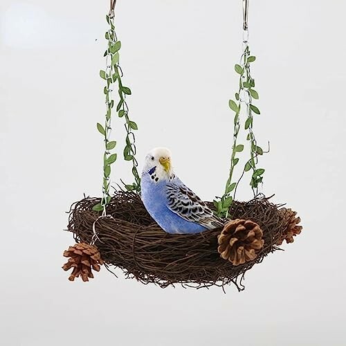 Blue parakeet sitting in a hanging nest swing with pine cones.