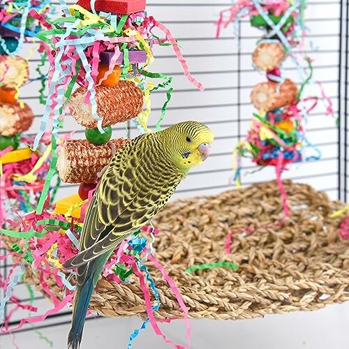 Parakeet perched near colorful cage toys with shredded paper.