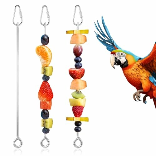 Colorful parrot next to three fruit skewers with carabiner clips.