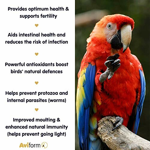 Colorful parrot with health benefits list