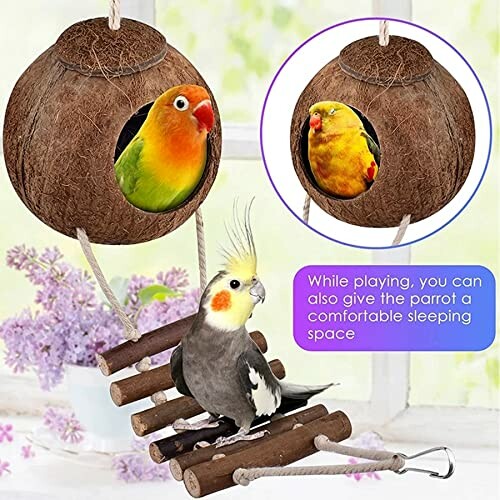 Colorful parrots in a coconut hut toy with a swing.