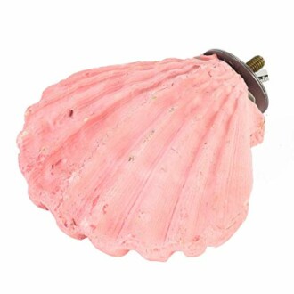 Pink seashell-shaped cabinet knob with metal attachment, similar to the Edible Calcium Clam Parrot Perch's design