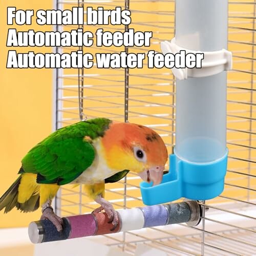 Small bird with automatic feeder and water feeder in cage.