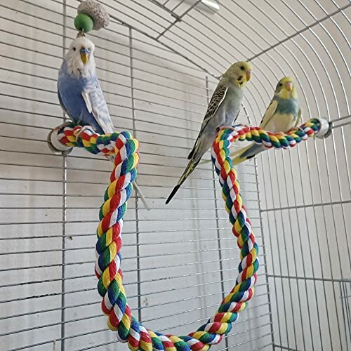 Three budgies perched on a colorful rope in a cage.