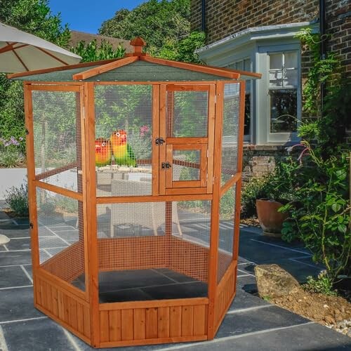 Wooden outdoor bird cage with birds inside on a patio.